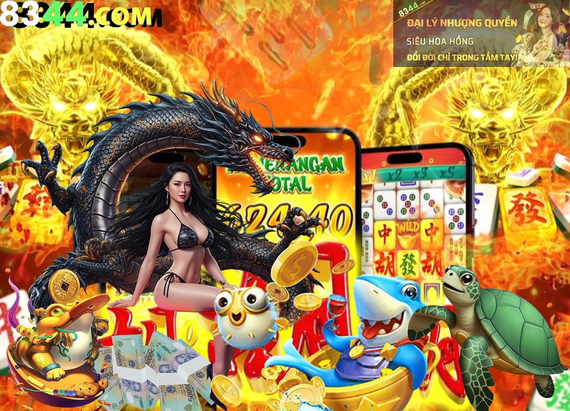 ww888