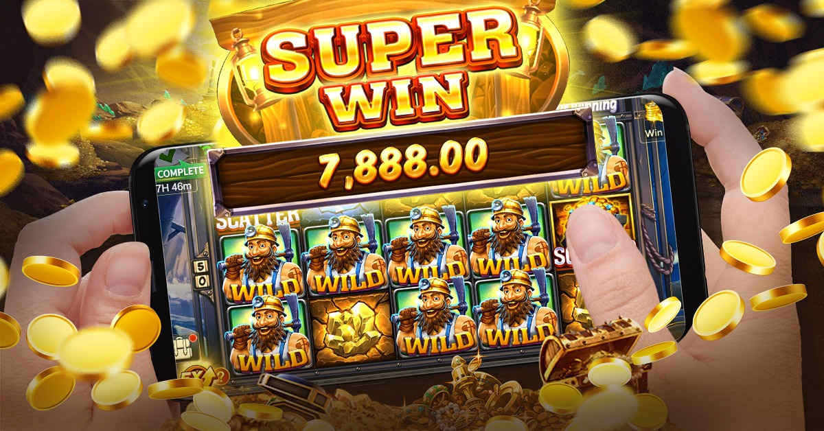 ww888